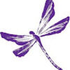 dragonfly0330